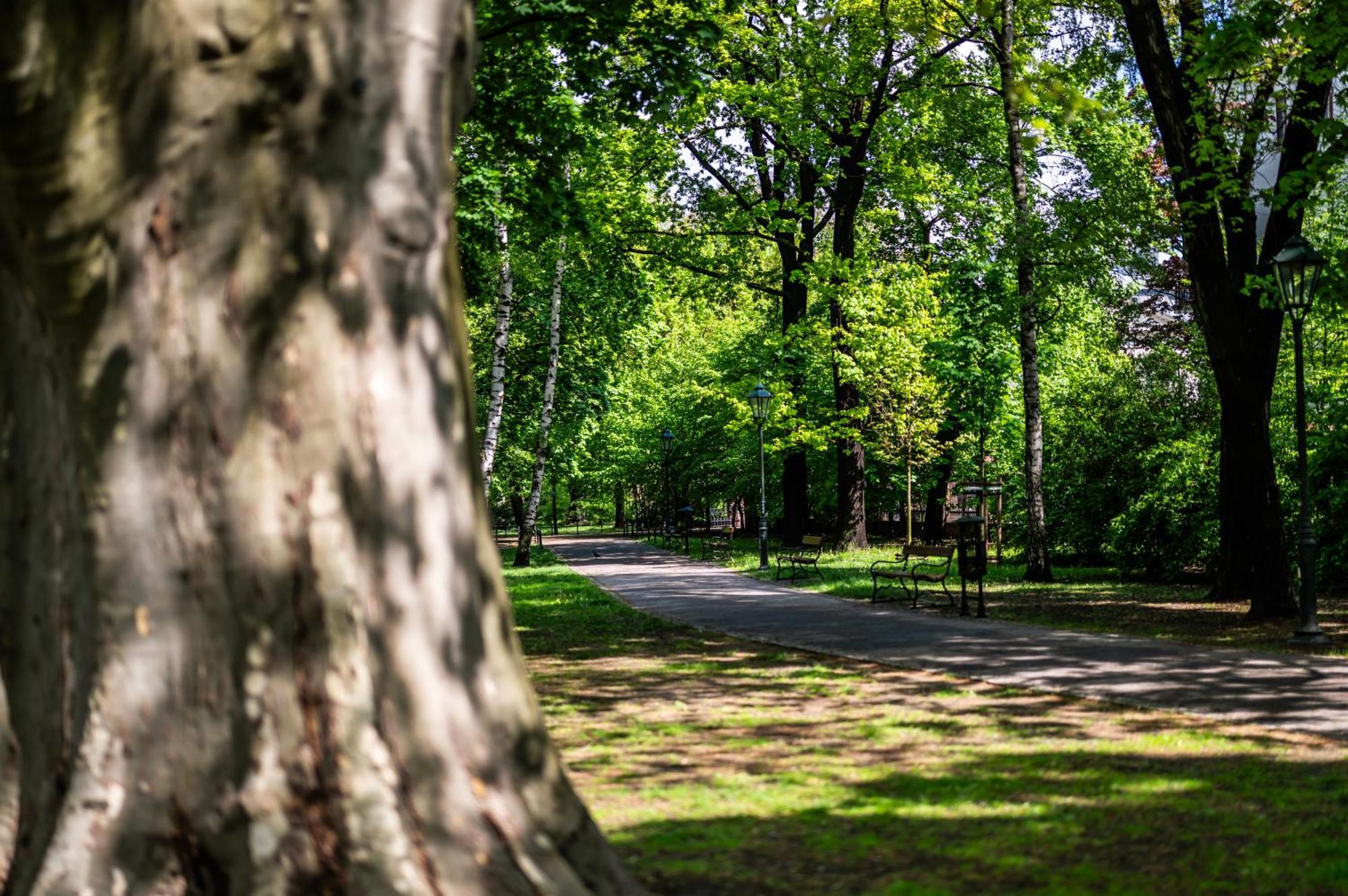 Апартаменти Bari Moxy Te&Am Cracow Parking Gratis Краків Екстер'єр фото